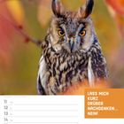 Text: "LASS MICH KURZ DRÜBER NACHDENKEN... NEIN! OKTOBER KW41/2027". Eine Waldohreule mit intensiven Augen im Herbstlaub.