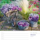 41. Woche Oktober 2027. Astern in Eimern und Schubkarre, Federgras, Mauerpfeffer. Bunte Herbstszene mit Blumen im Garten.