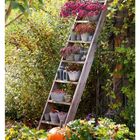 "MO 08 DI 09 MI 10 DO 11 FR 12 SA 13 SO 14". Leiter mit Pflanzen, Kürbis und Vogelhäusern in herbstlich bewachsenem Garten.