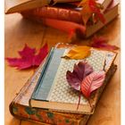 November 8-14, Kalenderblatt mit antiken Büchern und bunten Herbstblättern.