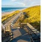 "45 NOVEMBER MO 08 DI 09 MI 10 DO 11 FR 12 SA 13 SO 14" Ein Holzsteg führt durch Dünen an einen weiten Sandstrand.