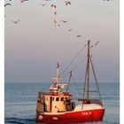 Ein rotes Fischerboot auf dem Meer, unter einer Möwenwolke, mit dem Text "TRA 9" am Bug. Darunter Kalenderinfos.