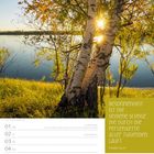 "Besonnenheit ist die seidene Schnur, die durch die Perlenkette aller Tugenden läuft." Thomas Fuller. Kalender November 2027.