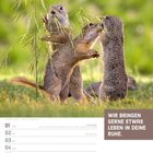 Text: "WIR BRINGEN GERNE ETWAS LEBEN IN DEINE RUHE." und "NOVEMBER KW44/2027". Drei Ziesel stehen im Gras, zwei fressen Pflanzen.