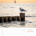Text: "44. Woche, November 2027". Eine Möwe steht auf einem Holzpfahl im ruhigen Wasser bei orangefarbenem Himmel. Kalenderseite.
