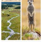 Kalenderwoche 45 von 2027 im November. Links eine Flusslandschaft, rechts ein aufrechter Erdmännchen auf Gras.