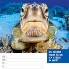 „Ich werde nicht älter, ich steige im Wert.“ November 2027 Kalender mit einer Meeresschildkröte im Ozean.