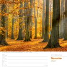 November 2027, Kalenderblatt. Herbstwald mit hohen Bäumen, goldene Blätter bedecken den Boden.