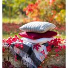 Text unten: „48 NOV/DEZ, MO 29, DI 30, MI 01, DO 02, FR 03, SA 04, SO 05, 05. Zweiter Advent“.

Kissen und Decke auf einer Steinbank, umgeben von roten Herbstblättern.