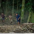 Vier Personen rennen durch einen dichten Wald mit hohen Bäumen, der Boden ist mit Blättern bedeckt.