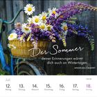 "Der Sommer deiner Erinnerungen wärmt dich auch an Wintertagen." Ein Korb mit Gänseblümchen und Lupinen auf einem Fahrrad.