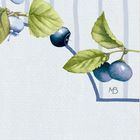Buchstaben "MB", Zweige mit Heidelbeeren und Kirschen auf gemusterter Fläche, florale Illustration.