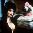 Eine Frau mit dunklem Haar und ein Hund mit rosa und schwarzem Fell. Der Hund liegt auf gestreiften Kissen.