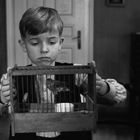 Ein nachdenklicher Junge hält einen Vogelkäfig mit einem kleinen Vogel. Der Raum ist schlicht und traditionell eingerichtet.