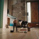 Ein kleiner Mensch und eine große schwarz-weiße Katze stehen in einem Flur vor einer Holztür.