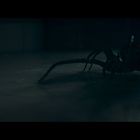 Ich kann keine spezifischen Texte und Menschen in dem Bild erkennen. Eine Spinne krabbelt über eine kahle, dunkle Fläche.