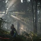 Ich kann die Texte nicht erkennen. Eine Person in Rüstung steht in einem dichten Wald, Sonnenstrahlen durchdringen die Bäume.