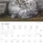 10 · 2027. Eine flauschige graue Katze neben einem Topf mit Heidekraut. Unten ist ein Monatskalender für Oktober 2027.