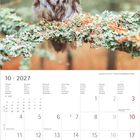 Kalenderblatt Oktober 2027. Enthält Feiertage und Notizenbereich. 
Darüber ein detailliertes Foto einer Eule auf einem Ast.