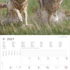 Kalender für September 2027. Zwei Wölfe rennen nebeneinander durch grasige Landschaft.