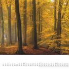 Oktoberkalender mit herbstlichem Waldmotiv, Bäume mit gelbem Laub. Stimmungsvolles und farbenfrohes Naturbild.