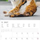 Kalender für September 2027, eine Katze sitzt, hebt ein Hinterbein. Tage und Wochen strukturiert, Notizenbereich unten.