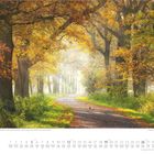 September Kalenderblatt mit einer Allee in Herbstfarben. Sonnenlicht durchdringt Bäume. Pfad führt durch die Landschaft.