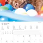 Kalenderseite für September 2027. Ein schlafender Welpe liegt in bunten Bällen.