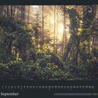 September. Ein Kalender zeigt einen Wald mit Sonnenstrahlen, die durch Bäume scheinen. Logo: GEO.