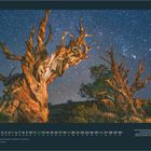 SEPTEMBER. Kalenderansicht mit Baumstämmen unter einem sternenklaren Nachthimmel in den White Mountains, Kalifornien.