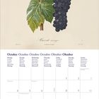 „Muscat roux“ steht unter einer Traubenillustration. Kalender für Oktober mit hervorgehobenen Feiertagen.