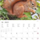 Oktober 2027 Kalender, Montag bis Sonntag in mehreren Sprachen. Ein rotes Eichhörnchen sitzt auf einem Ast.