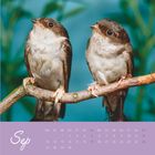 Text "Sep" oben auf lila Hintergrund mit Kalendertagen. Zwei kleine Vögel sitzen nebeneinander auf einem Ast.