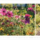 September 2027 Kalenderblatt, blühende pinke Blumen, rechte Seite grüne Gießkanne auf Gartenweg.