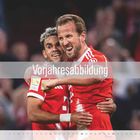 Text "Vorjahresabbildung" auf transparentem Hintergrund über zwei jubelnde Fußballspieler in roten Trikots.