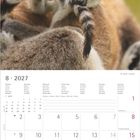 8 · 2027, Kalender mit August-Daten. Oben ein Lemurenbaby, das seinen Schwanz hält.