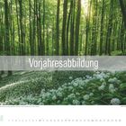 Text: "Vorjahresabbildung". Darunter: Waldszene mit Bärlauchblüten. Datum: Mai 2026.