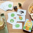 Kartenspiel mit dem Titel "Tumult im Teich". Karten mit Seerosen und Tieren. Schachtel mit einem Wasserschwein-Illustration.