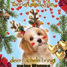 „Rosen sind rot, Tannen sind grün, dein Lächeln bringt meine Wangen zum Glühn <3.“ Hund mit Geweih, rote Rosen, Tannenzweige.
