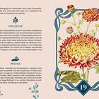 „VITALITÄT“ und „PFLEGE“ stehen oben. Rechts ist eine Chrysanthemen-Illustration mit roten Blüten. Unten eine 19.