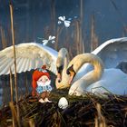 Illustration: "Was siehst du im Märchenwald?" Zwei Schwäne mit ausgebreiteten Flügeln beobachten ein Ei. Ein gezeichneter Zwerg und Libellen sind im Schilf.