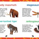 "Woolly mammoth", "Meganeura", "Saber-toothed tiger", "Arthropleura" in farbiger Schrift. Vier Tiere mit kurzen Beschreibungen.