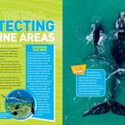 „SAVING THE SEAS: PROTECTING MARINE AREAS“ beschreibt Schutzgebiete im Meer. Bild zeigt Wale in blauem Wasser.