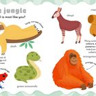 "In the jungle. Which animal is most like you?" Illustrationen von Tieren: Tukan, Faultier, Okapi, Kapibara, Jaguar, Pfeilgiftfrosch.