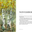 NOVEMBER. "Everything closes in..." beschreibt die Herbststimmung. Links Birkenillustration mit gelben und orangefarbenen Blättern.