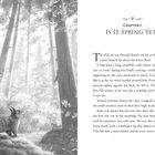 Kapitel 1: IS IT SPRING YET? Ein Eichhörnchen in einem Wald stehend, umgeben von hohen Bäumen und weichem Licht.