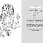 CHAPTER ONE: Introducing Owls. Links eine detaillierte Bleistiftzeichnung einer Eule auf einem Ast.