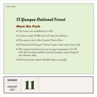 Text über "El Yunque National Forest" in Puerto Rico mit Besucherdetails. Datum unten: Montag, 11. Januar 2027.
