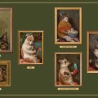 Texte: "BUDGIE", "TANK", "MILDRED AND OREO", "CUDDLE", "U OK BUN", "FALCONRY FOR BEGINNERS", "SIDE-EYES AND SIDEKICKS". Besteht aus Tierporträts.