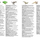Glossar mit Begriffen wie „acid“, „algae“, „ammonite“, „atmosphere“ und „bipedal“; Illustrationen von Dinosauriern und Tieren.